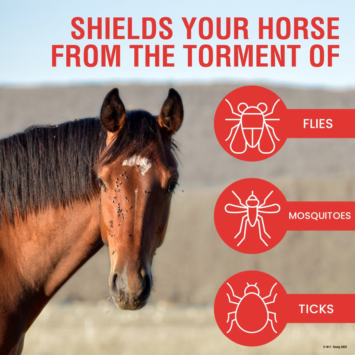 Absorbine UltraShield Red Insecticide & Repellent Horse Fly Spray 1 gallon