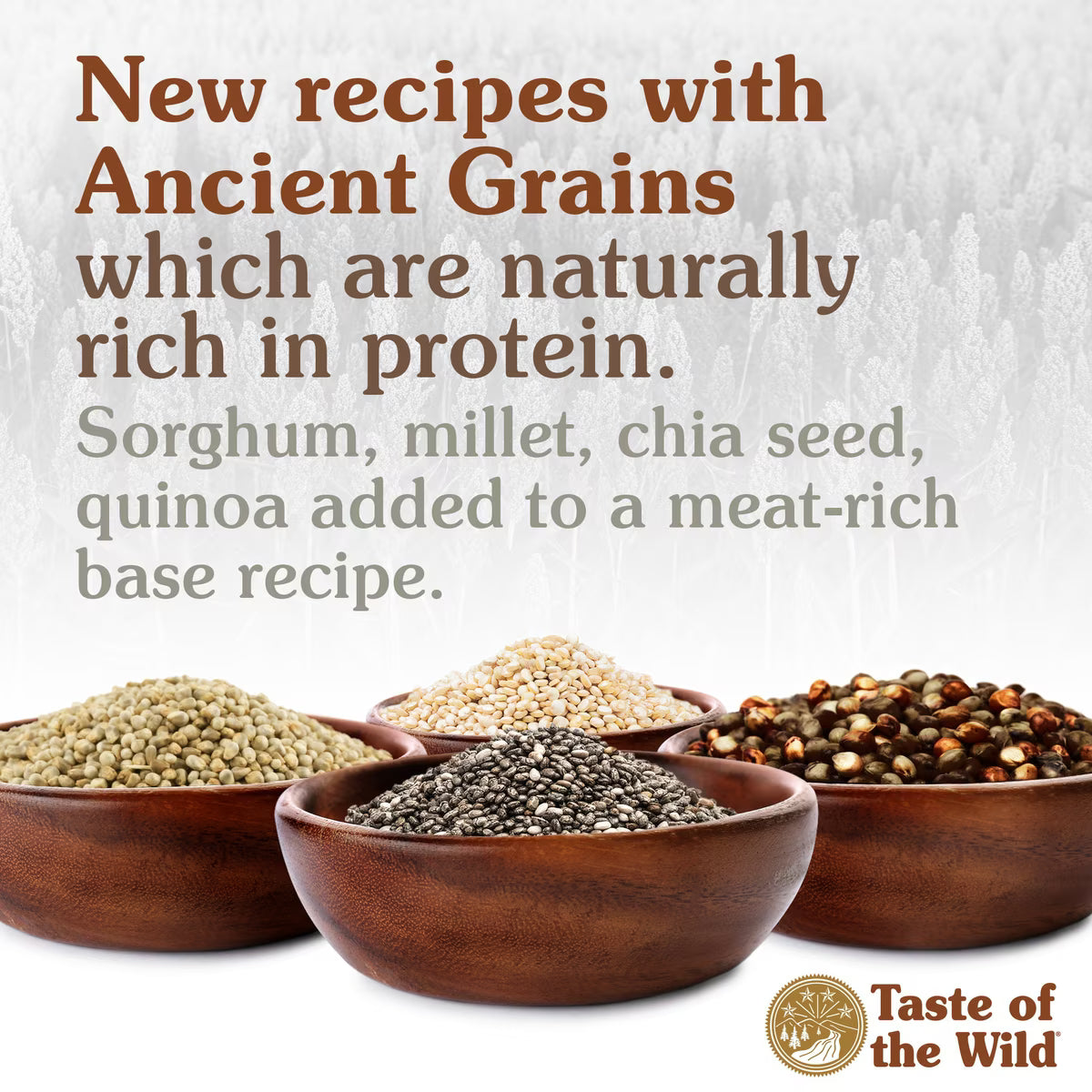 Taste of the Wild Ancient Mountain Roasted Lamb & Ancient Grains Recipe Dry Dog Food 14lb