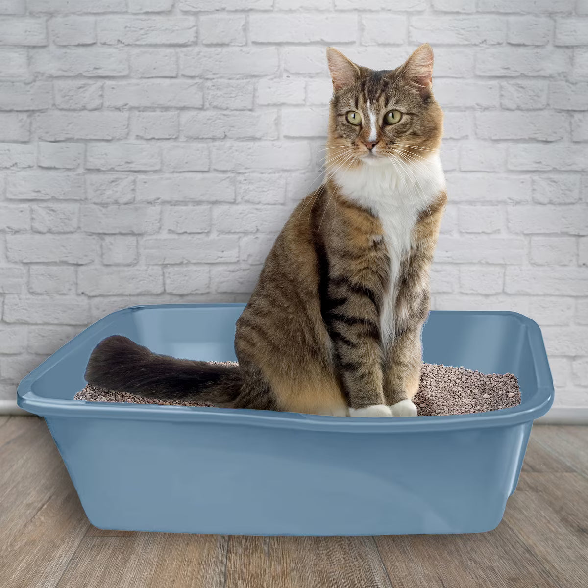 Van Ness Cat Litter Pan