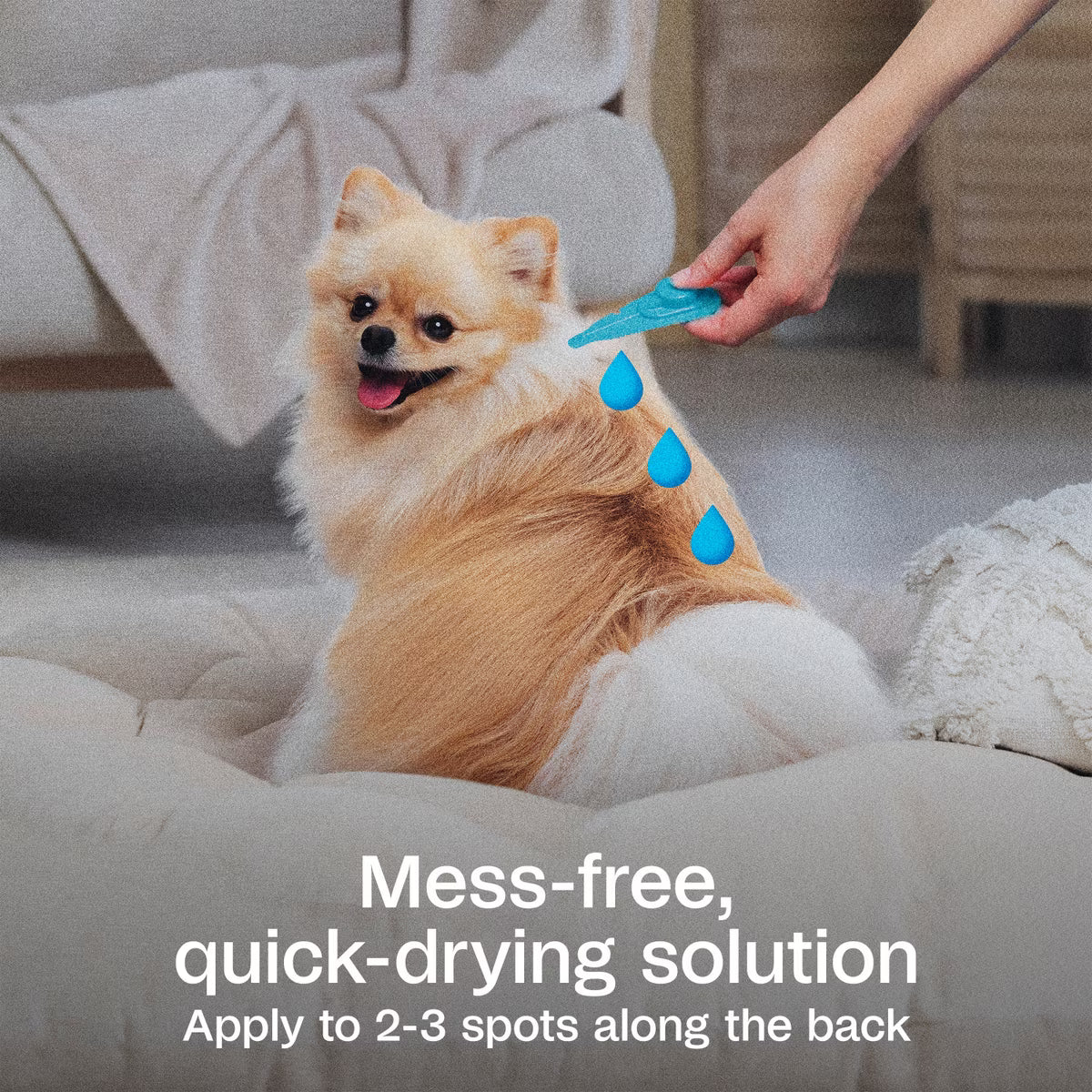 Adams Plus Flea & Tick Prevention Spot On for Toy/Small Dogs 5-14lb 3 Month Supply