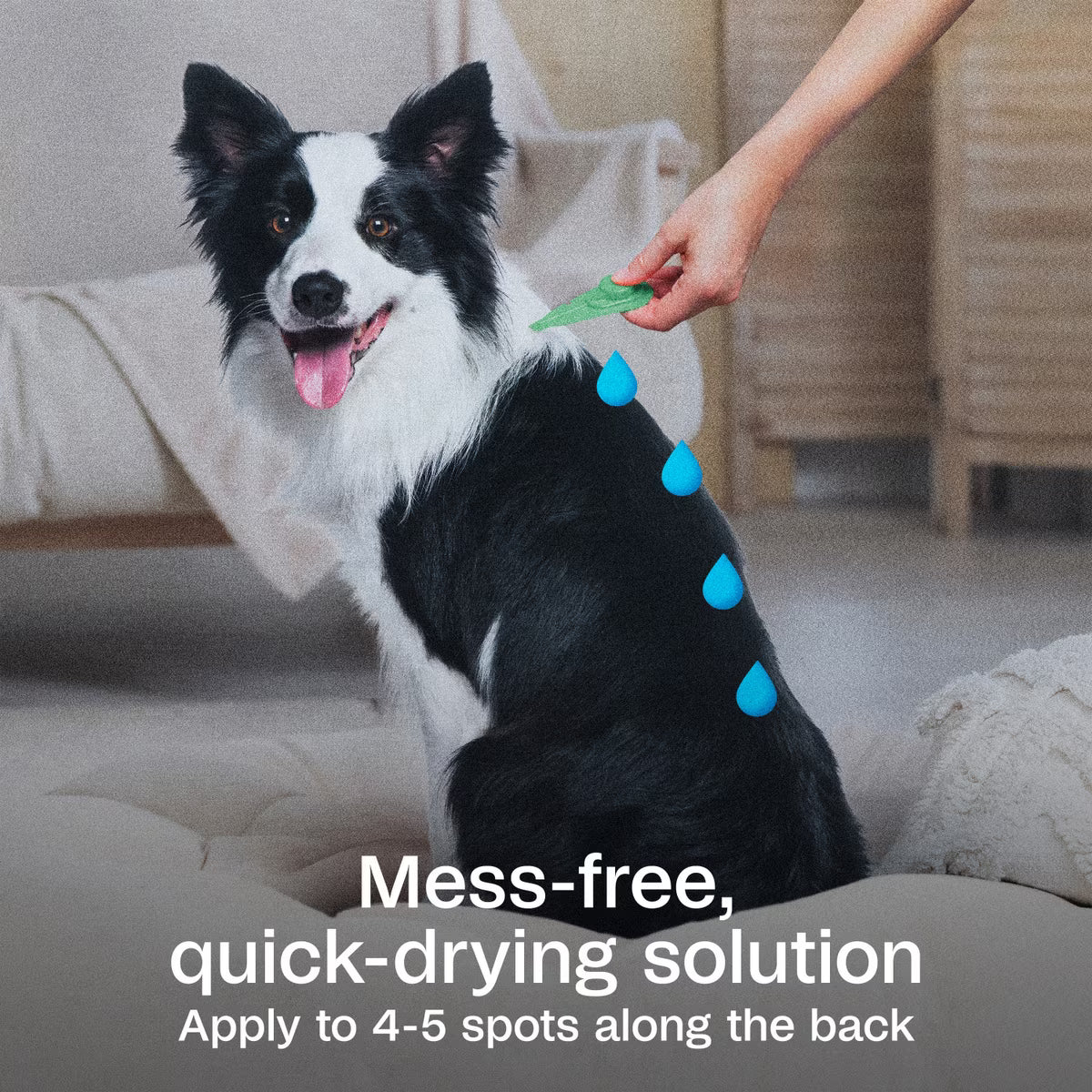 Adams Plus Flea & Tick Prevention Spot On for Large Dogs 31-60lbs 3 Month Supply