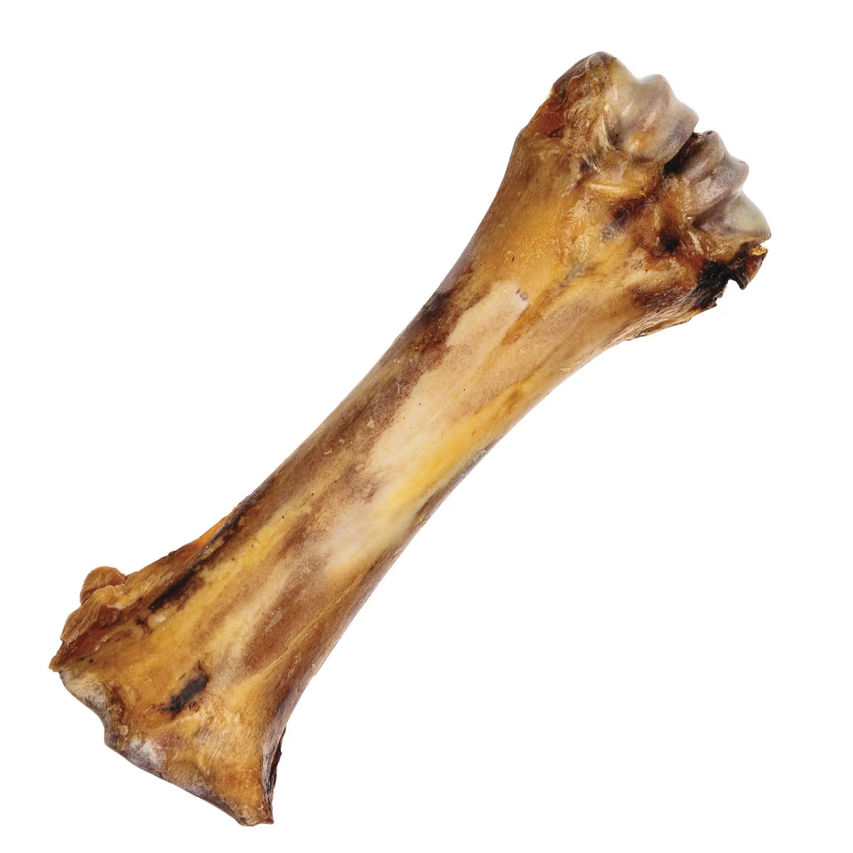 RB Shank Bone              10"