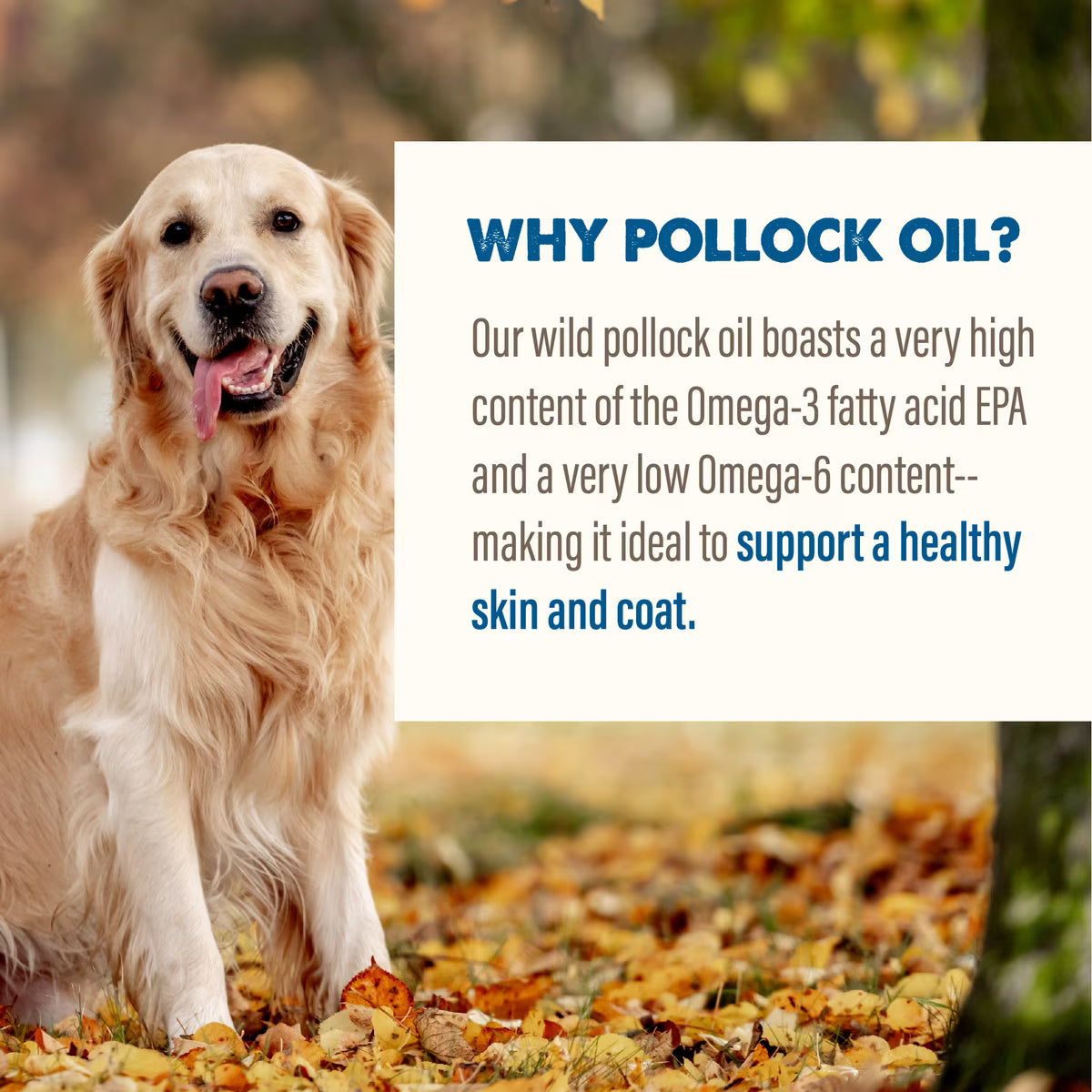 Grizzly Pollock Oil Dog Food Supplement 8oz