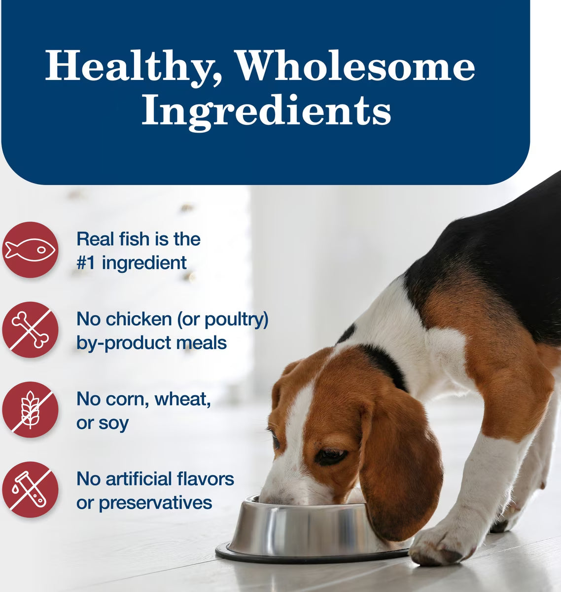 Blue Buffalo Homestyle Recipe Fish & Sweet Potato Dinner with Garden Vegetables Canned Dog Food 12.5oz