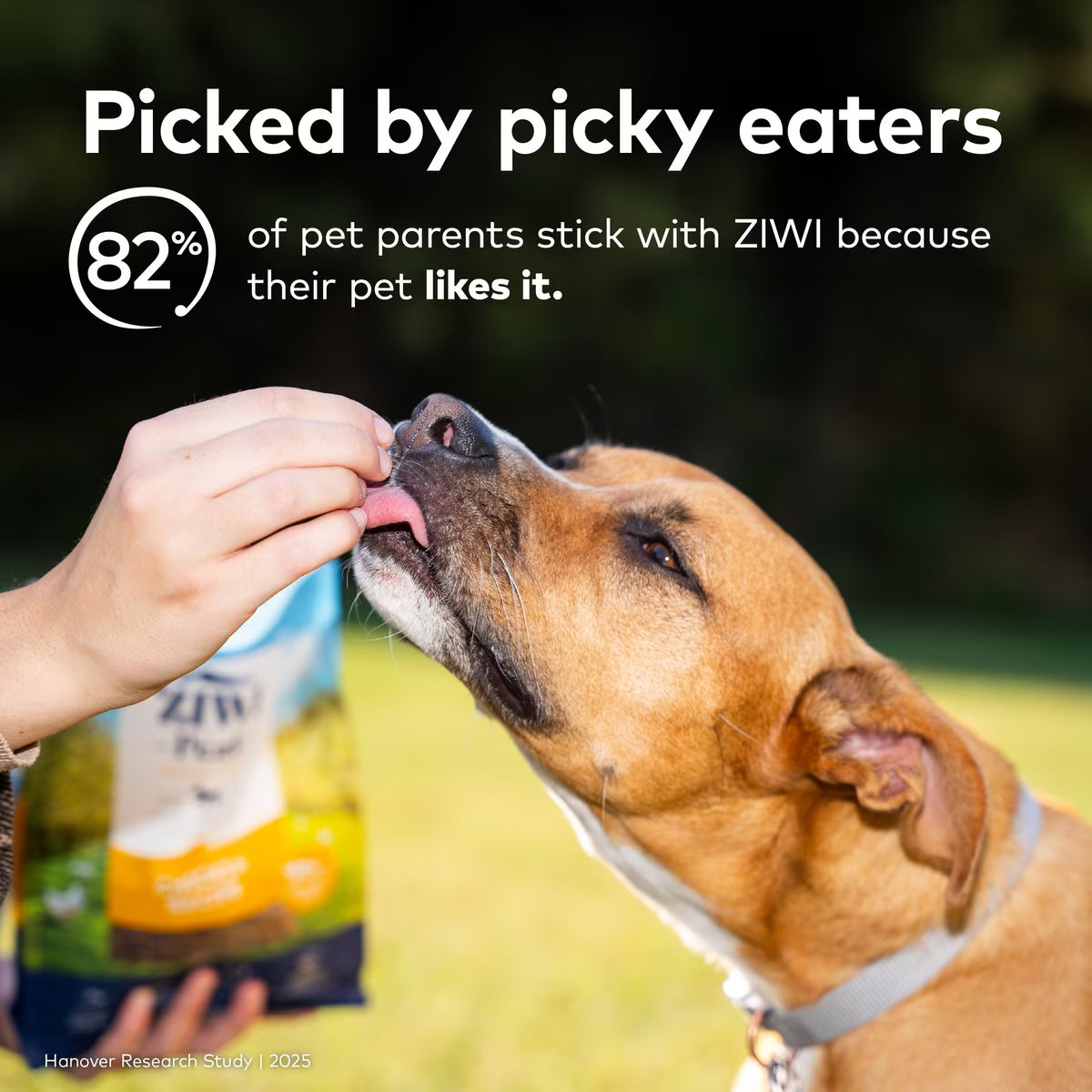 ZIWI Peak Beef Grain-Free Air-Dried Dog Food 16oz