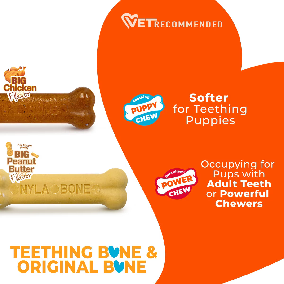 Nylabone Classic Durable Puppy Chew Chicken & Peanut Butter Flavor XS 2ct