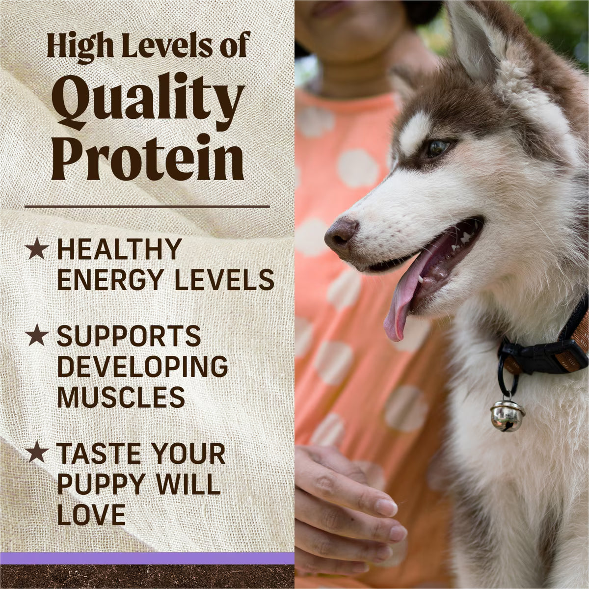 Merrick Grain-Free Dry Puppy Food Real Beef & Sweet Potato Recipe 4lb