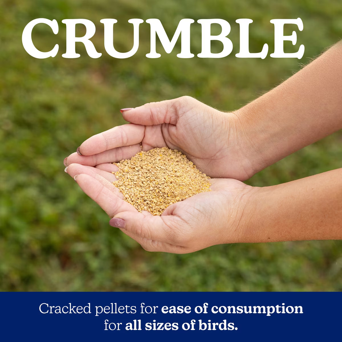 Nutrena NatureWise Chick Starter-Grower Medicated 18% Crumble 40lb