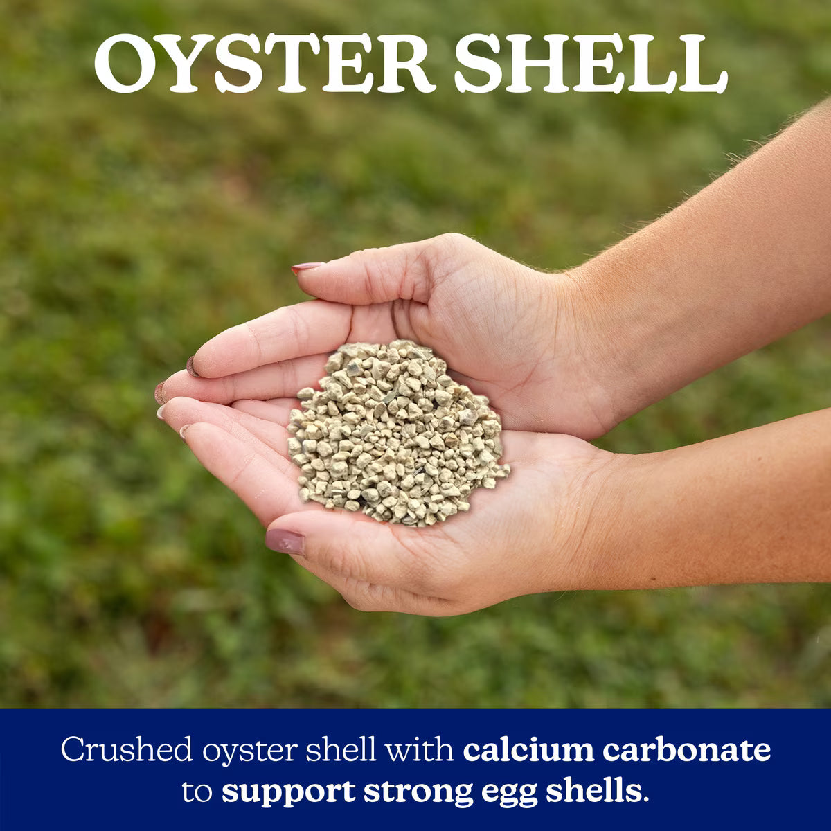 Nutrena NatureWise Oyster Shells 7lb