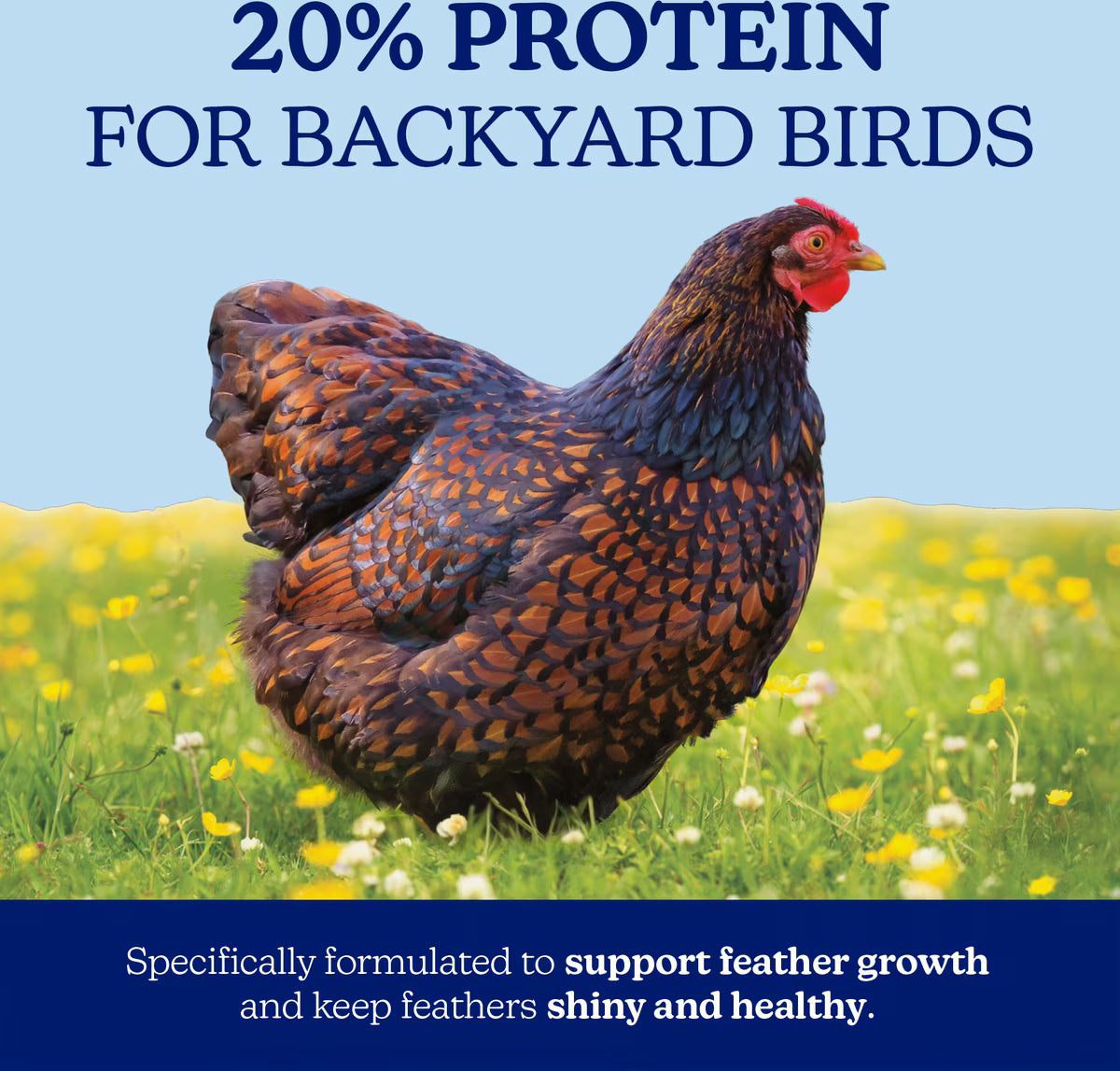 Nutrena NatureWise 20% Feather Fixer Pellet 40lb