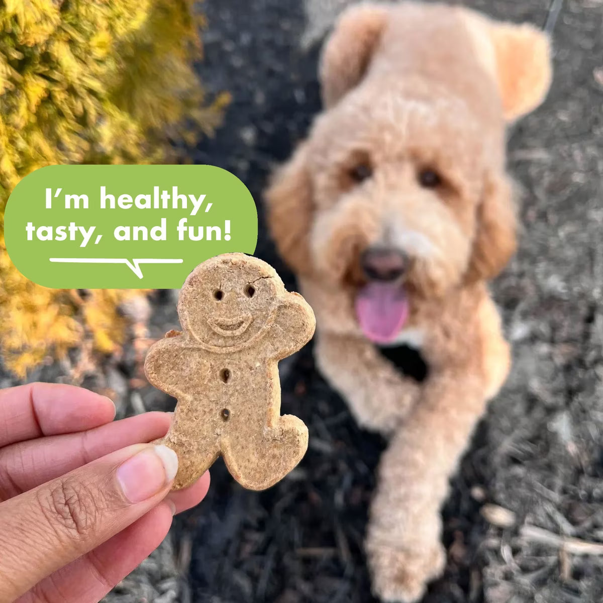 Buddy Biscuits with Roasted Chicken Oven Roasted Dog Biscuits 16oz