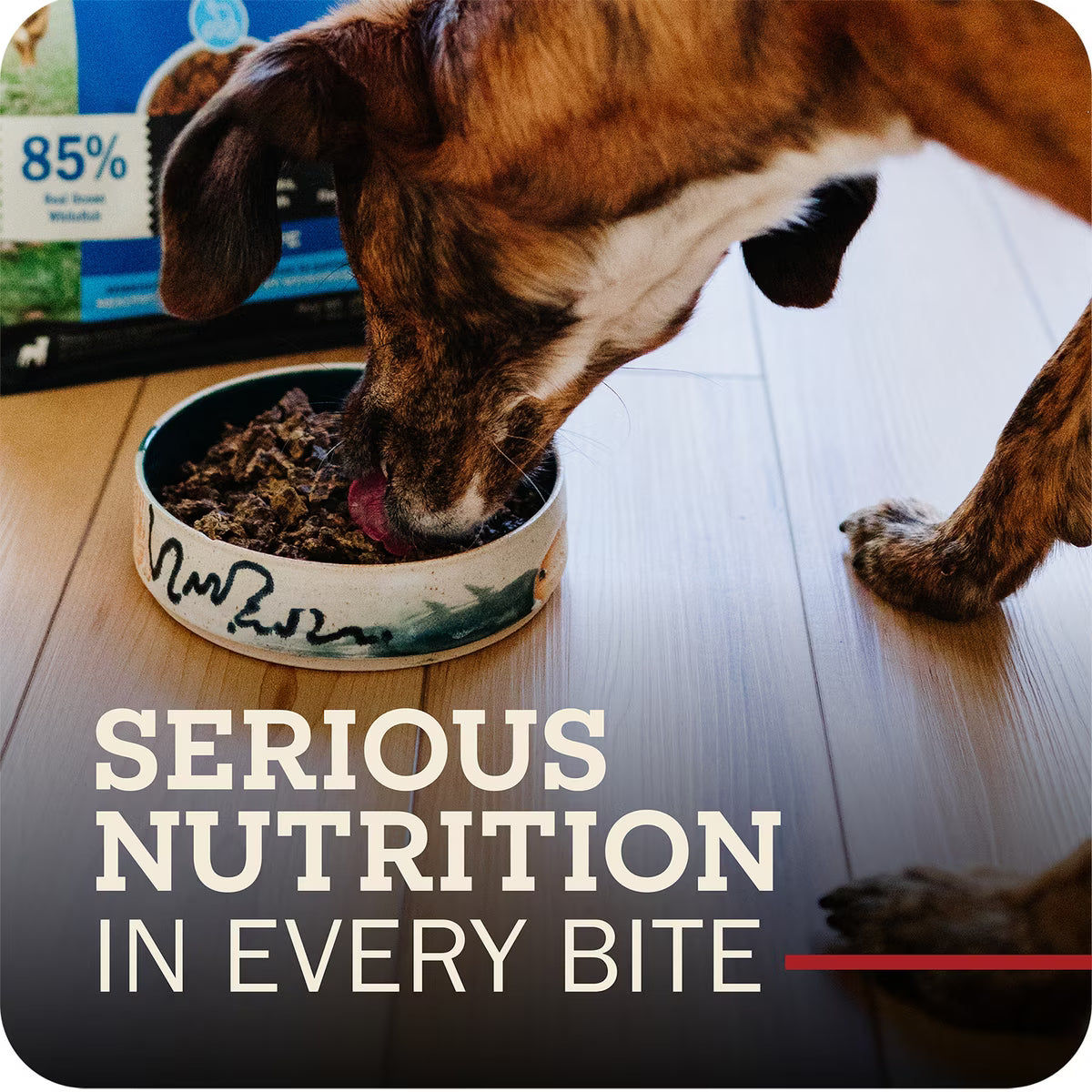 Redbarn Powerfood Chicken High Protein Grain-Free Gently Air Dried Dog Food 2lb