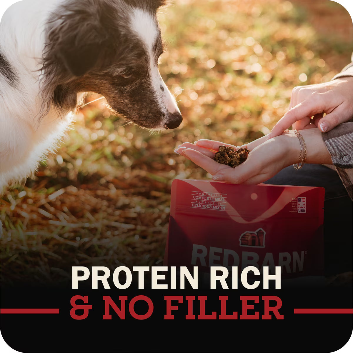 Redbarn Powerfood Small Breed Recipe Chicken & Blueberry Grain-Free Air Dried Dog Food 2lb