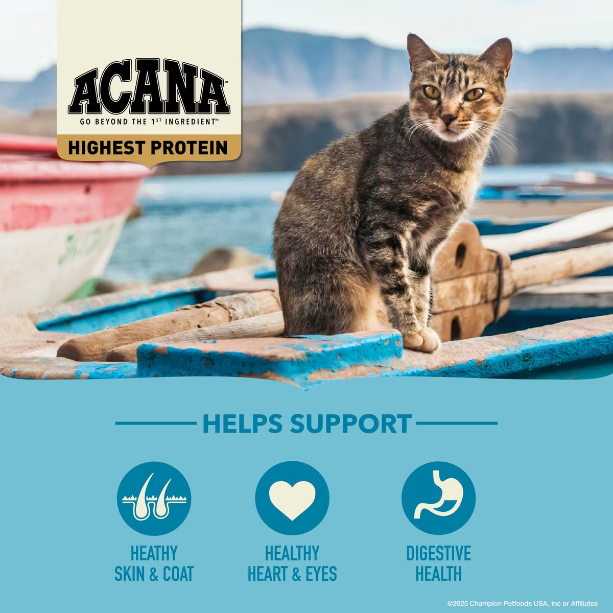 ACANA Wild Atlantic Saltwater Fish Grain-Free Dry Cat Food 12LB