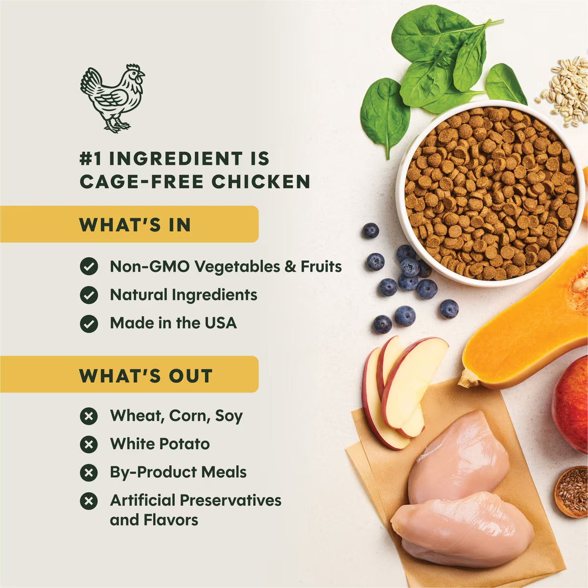 Instinct BeNatural Adult Real Chicken & Brown Rice Recipe Dry Dog Food 4.5 lbs