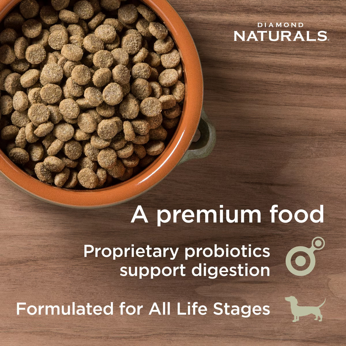 Diamond Naturals Skin & Coat Formula All Life Stages Dry Dog Food 30lb