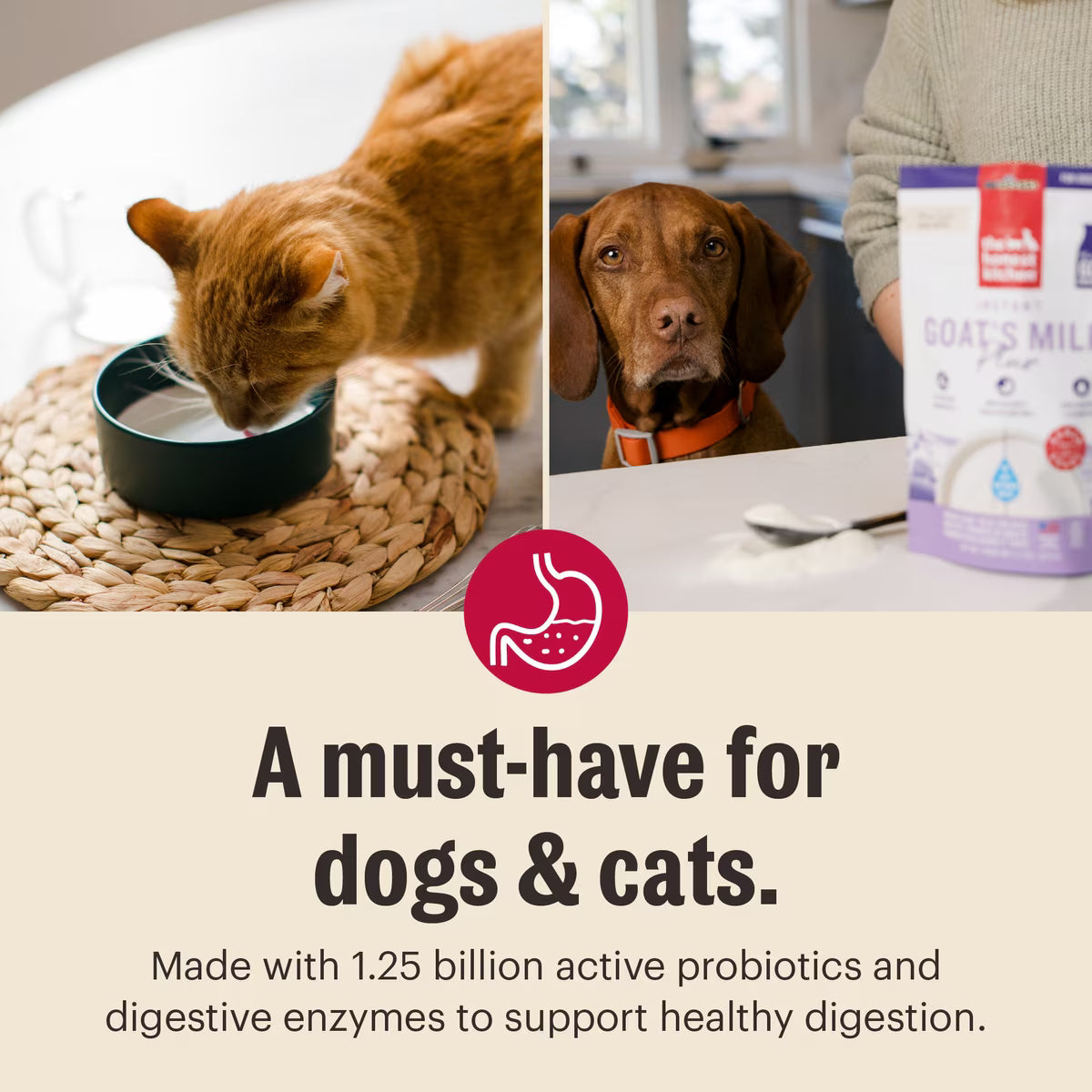 The Honest Kitchen Human Grade Daily Boosters Instant Goat's Milk with Probiotics for Dogs & Cats 5.2-oz