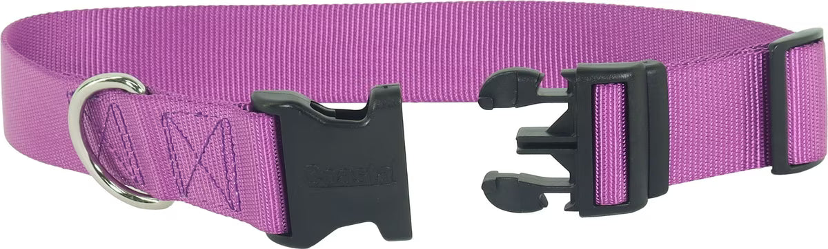 Coastal Pet Adjustable Dog Collar with Plastic Buckle Purple Large 1" x 18"-26