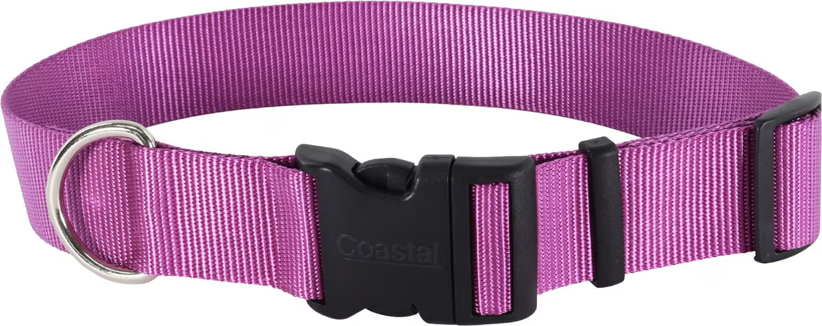 Coastal Pet Adjustable Dog Collar with Plastic Buckle Purple Large 1" x 18"-26