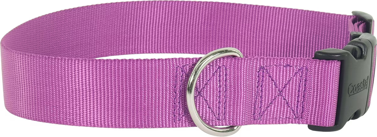 Coastal Pet Adjustable Dog Collar with Plastic Buckle Purple Large 1" x 18"-26
