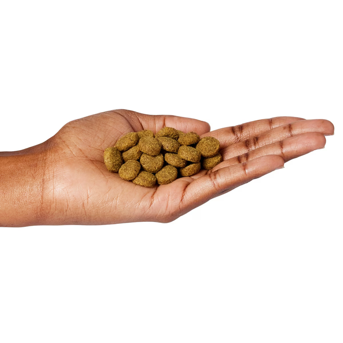 Natural Balance Fat Dogs Chicken Meal, Salmon, Barley Recipe Dry Dog Food 11lb