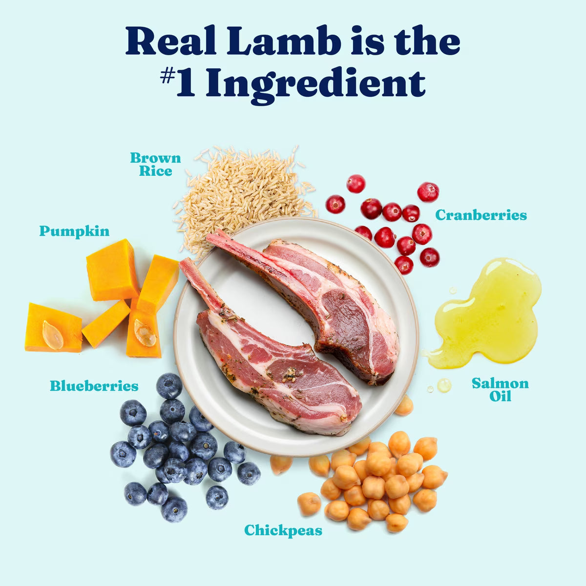 Solid Gold Real Lamb, Brown Rice & Pearled Barley Whole Grain Recipe Dry Dog Food 24lb