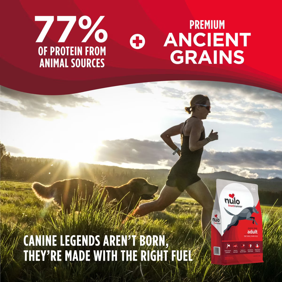 Nulo Frontrunner Ancient Grains Beef, Barley, & Lamb Recipe 11lbs