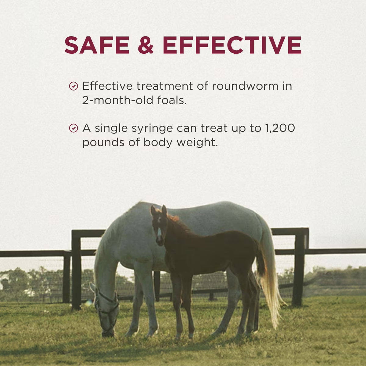 Anthelcide EQ Oxibendazole Dewomer Paste for Horses 0.85oz