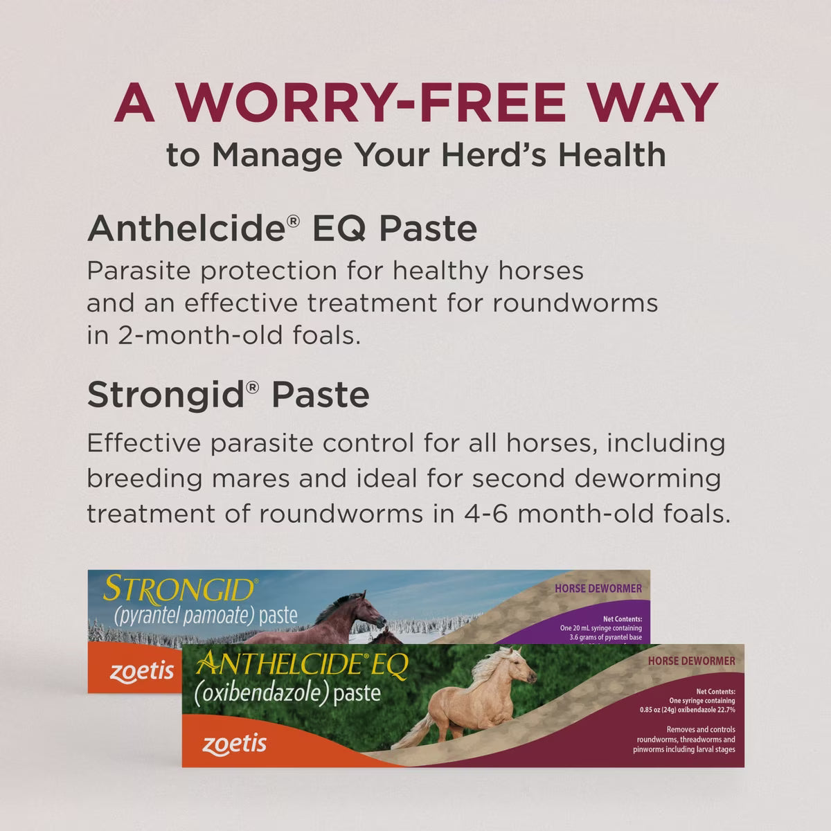 Anthelcide EQ Oxibendazole Dewomer Paste for Horses 0.85oz
