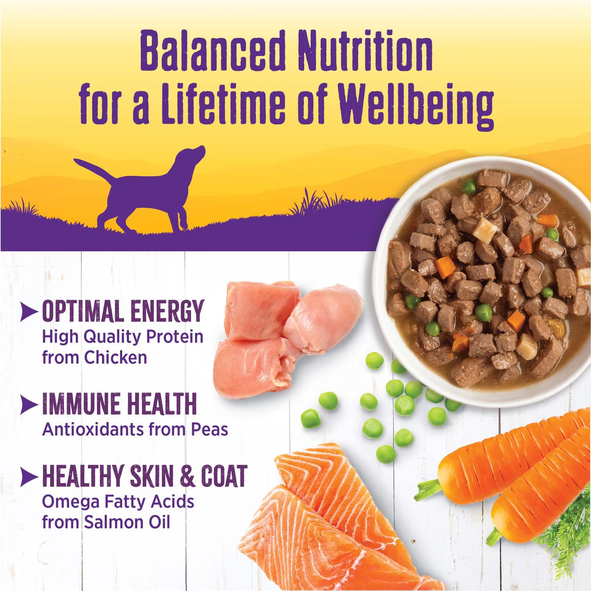 Wellness Chicken Stew Grain-Free Natural Canned Dog Food 12.5oz