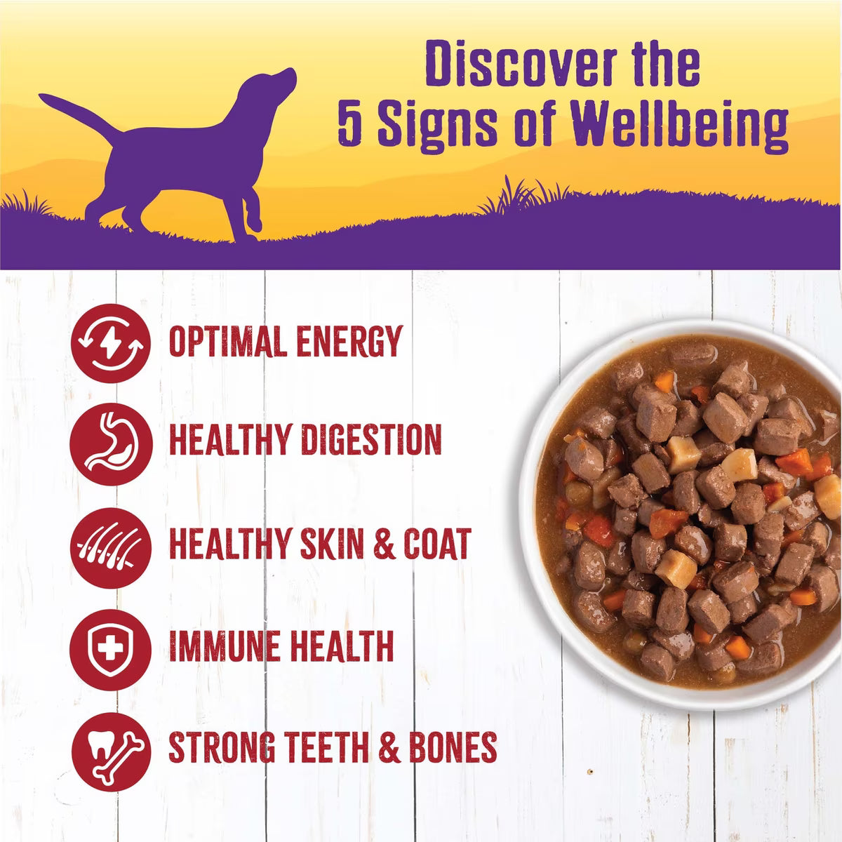 Wellness Beef Stew with Carrots & Potatoes Grain-Free Canned Dog Food 12.5oz
