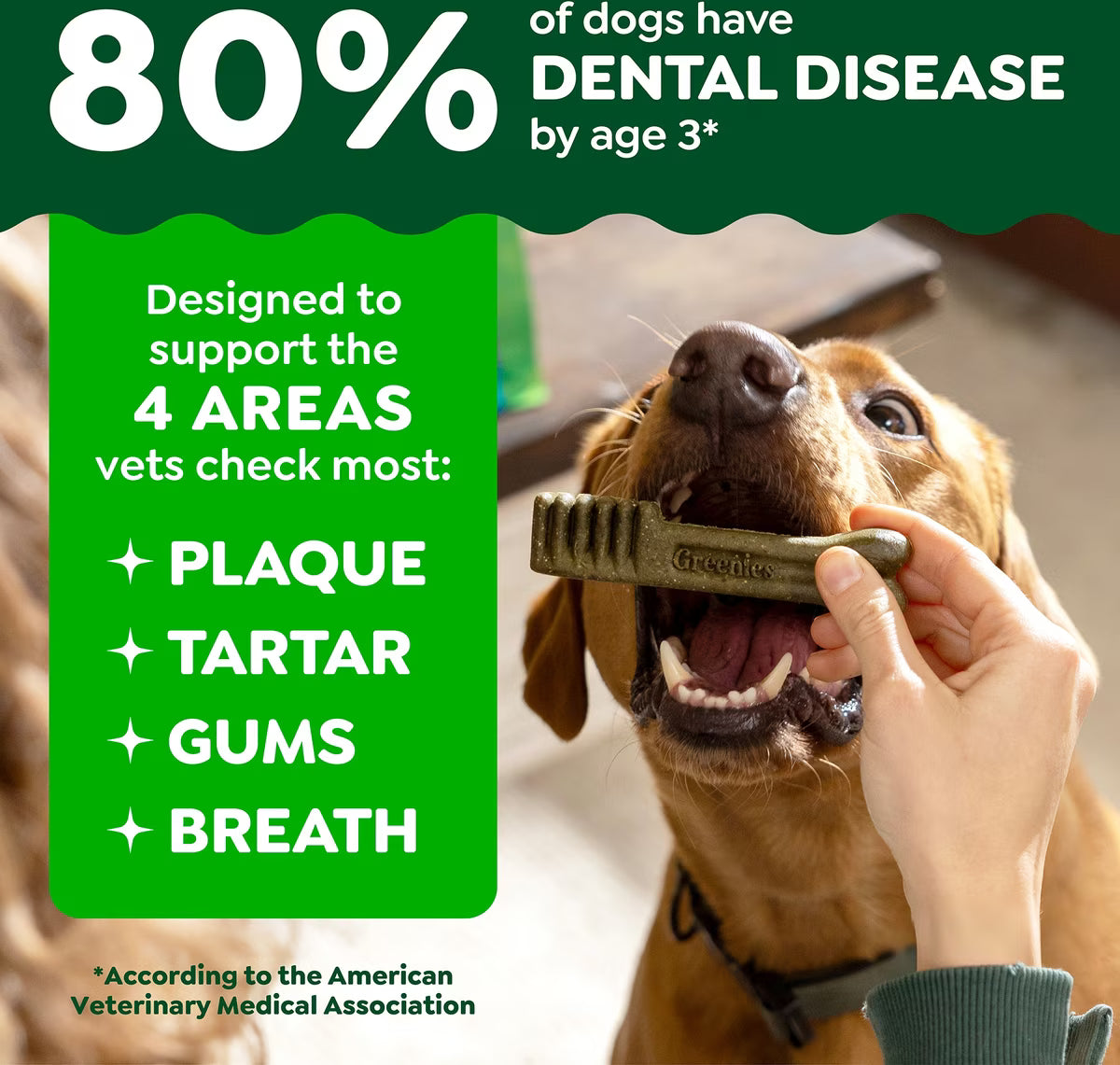 Greenies Regular Original Chicken Flavored Dental Dog Chews 27pk