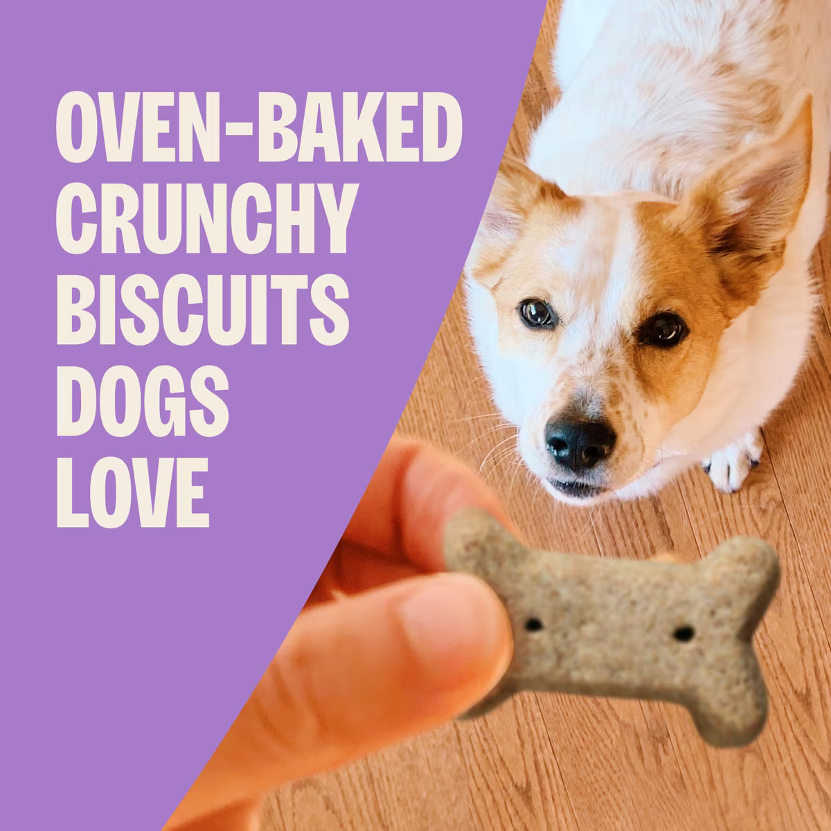 Old Mother Hubbard Classic Just Vegg'N Small Oven Baked Dog Biscuits 3.3lb
