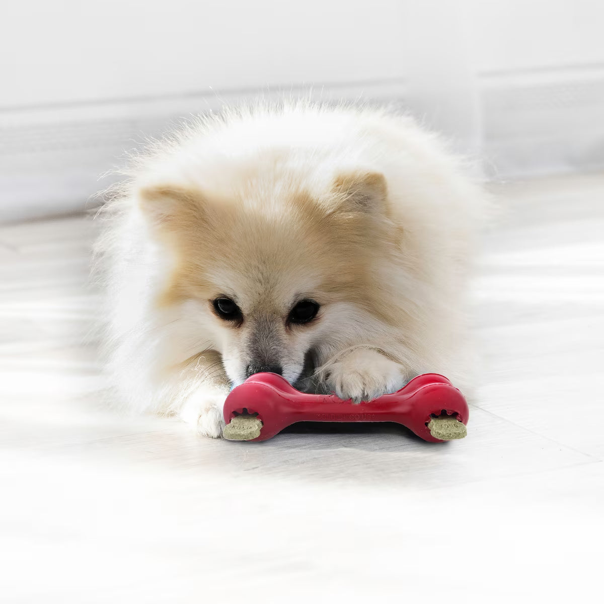 KONG Goodie Bone Rope        S