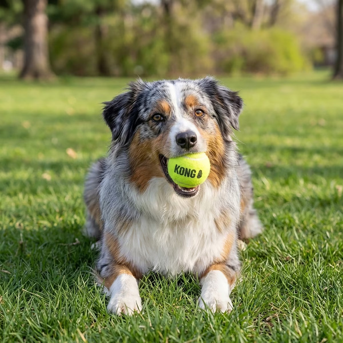 Kong SqueakAir Balls for Dogs Medium 3pk
