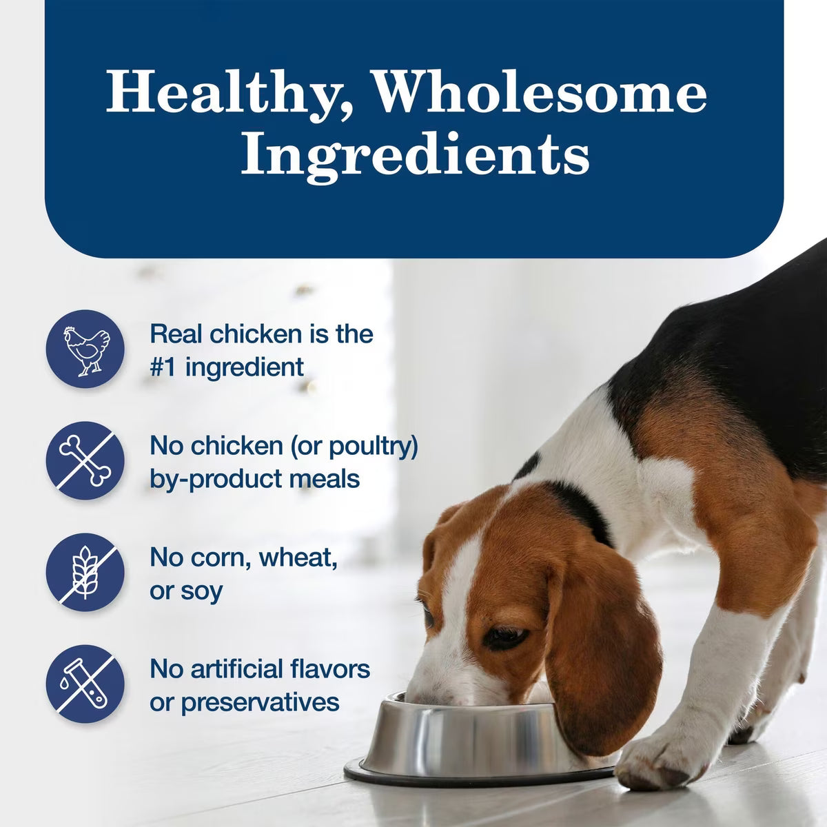 Blue Buffalo Homestyle Recipe Chicken Dinner with Garden Vegetables & Brown Rice Canned Dog Food 12.5oz