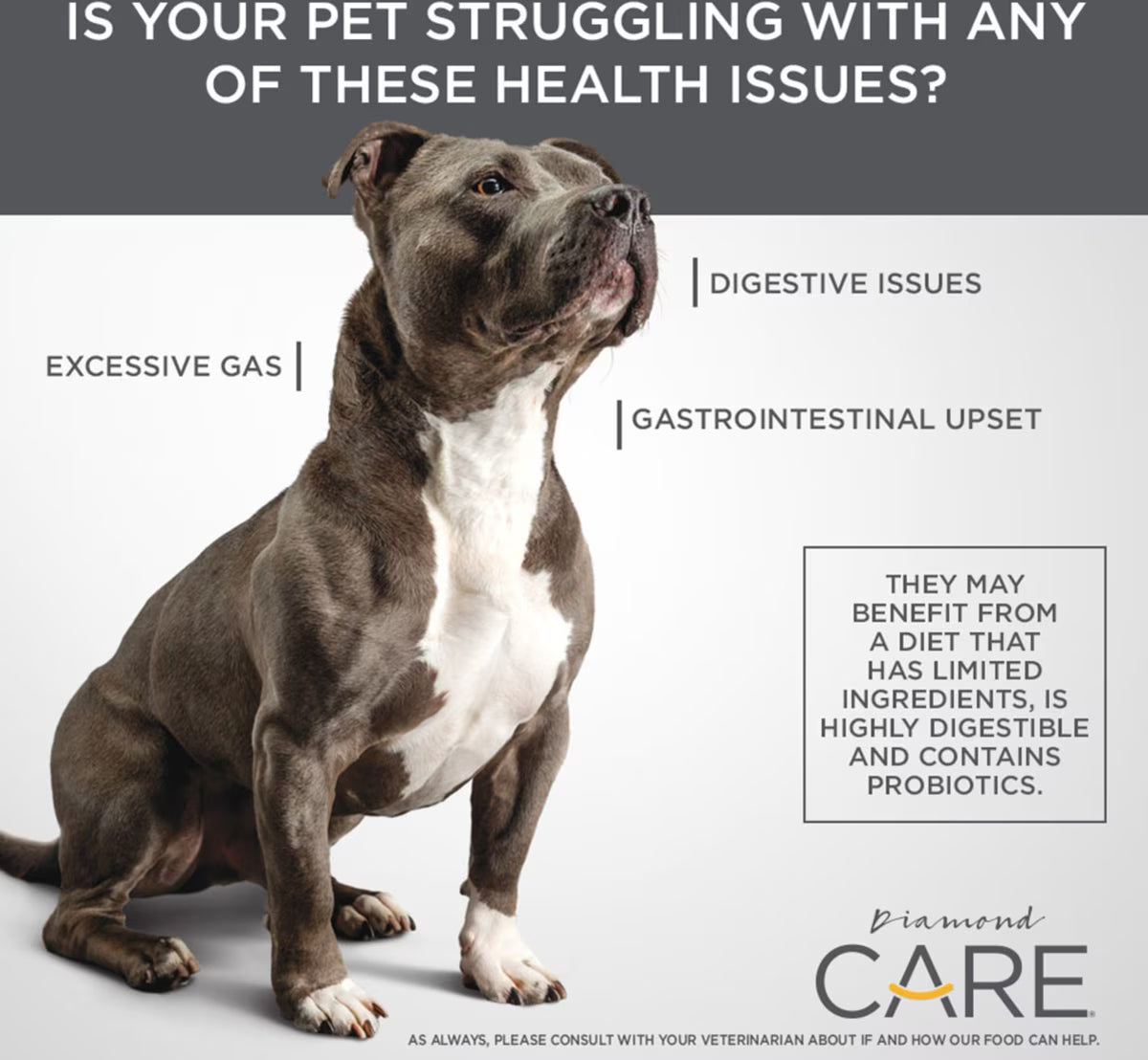 Diamond Care Sensitive Stomach Formula Adult Grain-Free Dry Dog Food 8lb