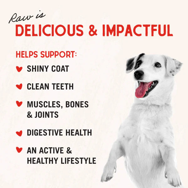 Stella & Chewy's Free Range Raw Blend Kibble for Dogs 22lb