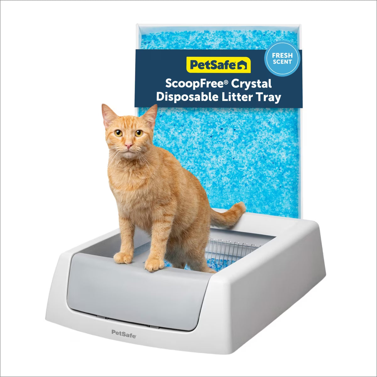 PetSafe Scoop Free Crystal Self-Cleaning Litter Box