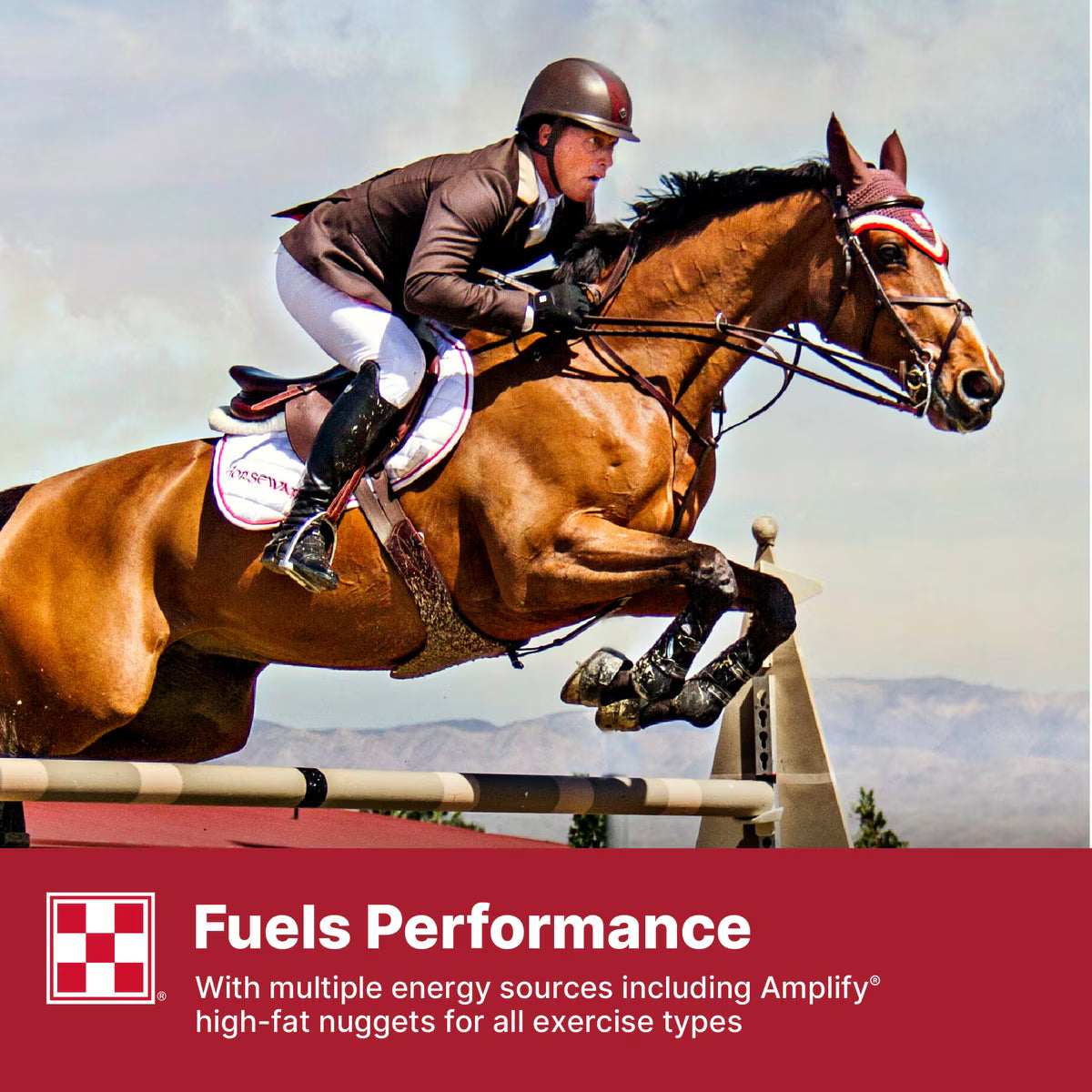 Purina Omolene 200 Performance Horse Feed 50lb