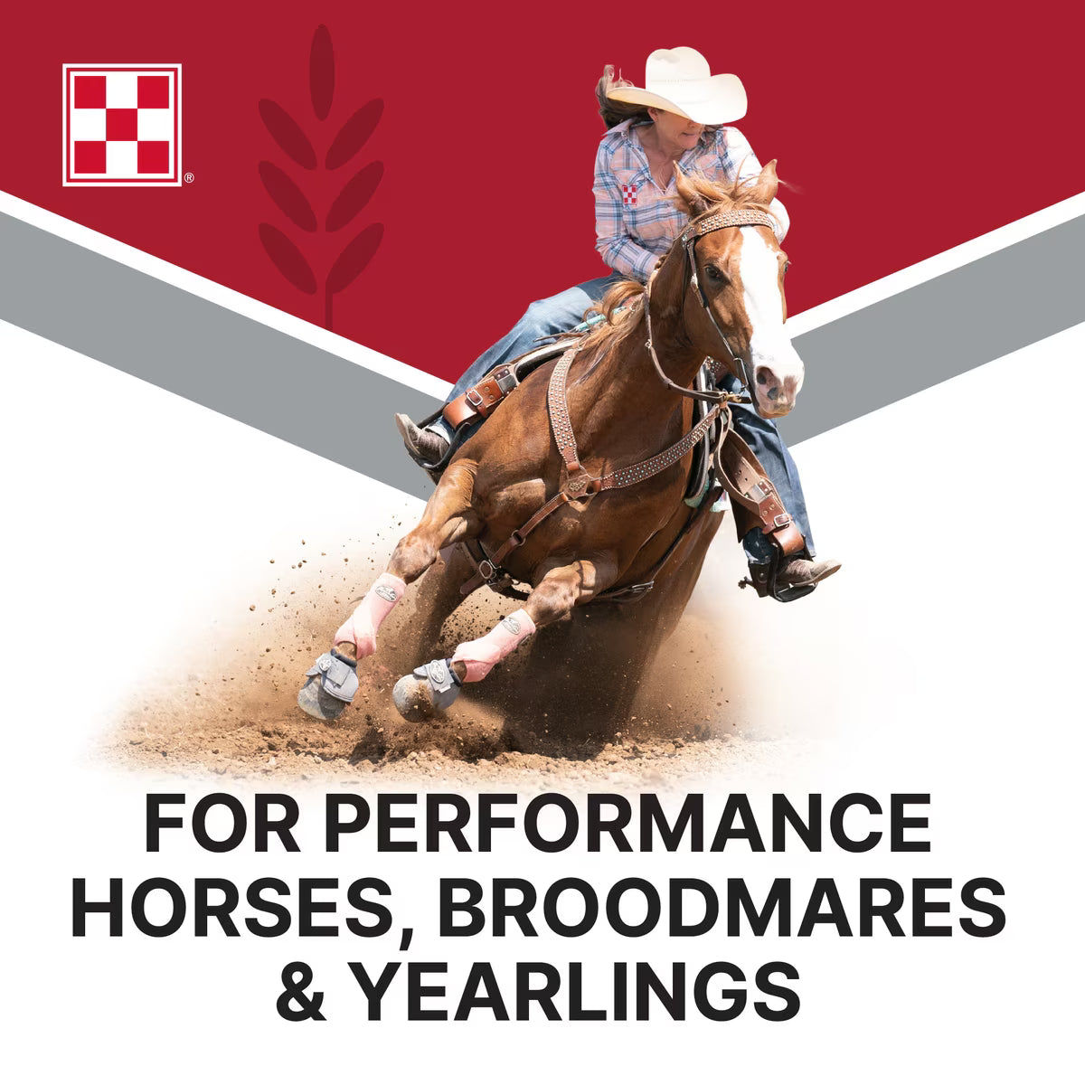 Purina Omolene 200 Performance Horse Feed 50lb
