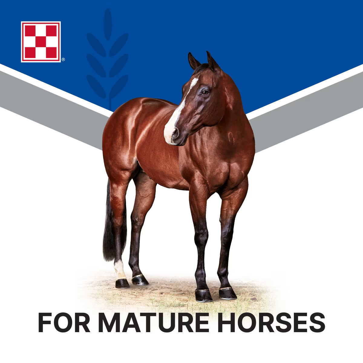 Purina Omolene 100 Active Pleasure Horse Feed 50lb