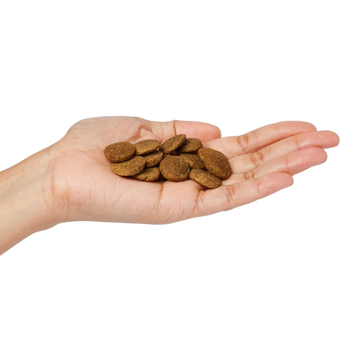 Natural Balance Limited Ingredient Lamb & Brown Rice Recipe Large Breed Dry Dog Food 12lb