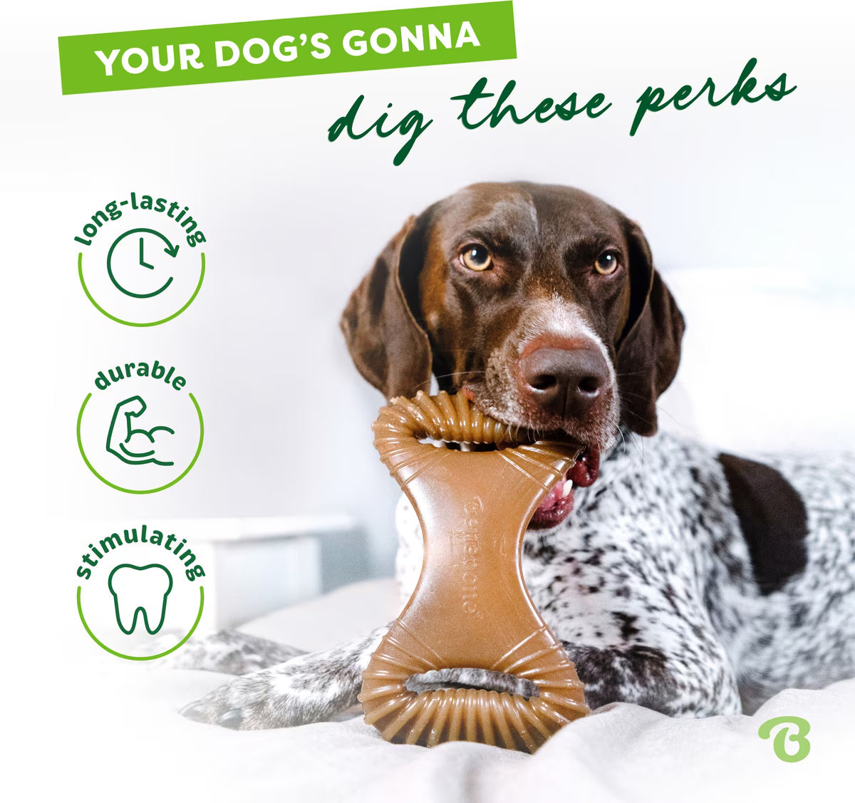 Benebone Dental Peanut Butter Durable Dog Chew Toy Small