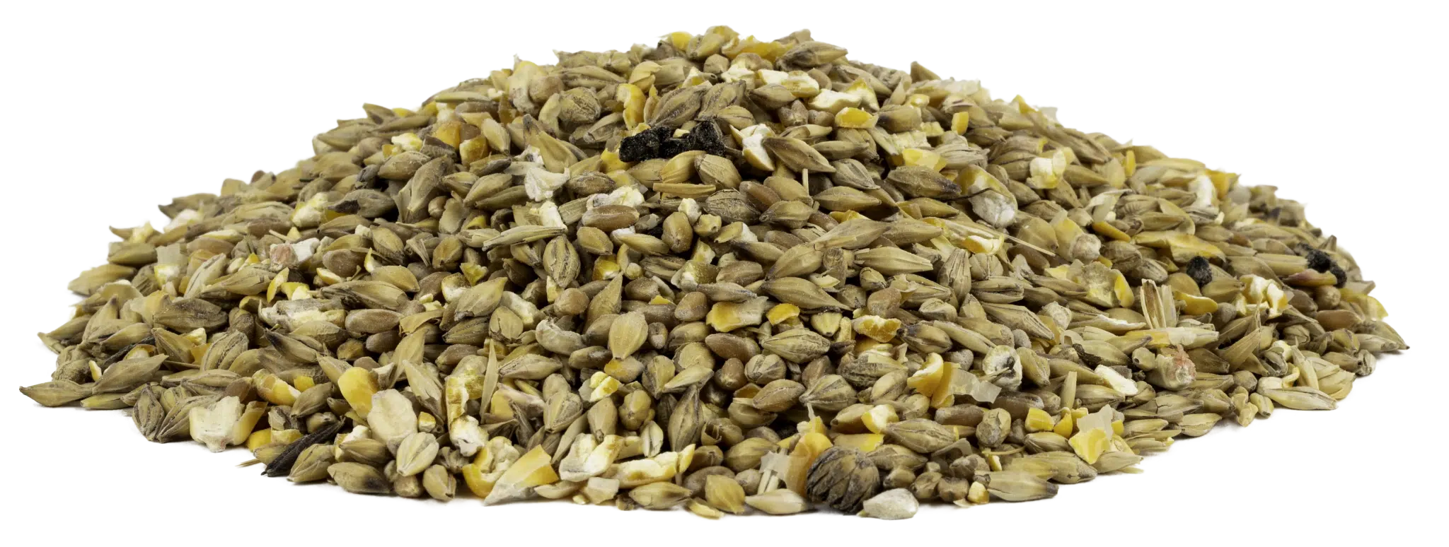 S/P SCRATCHCORN  10
