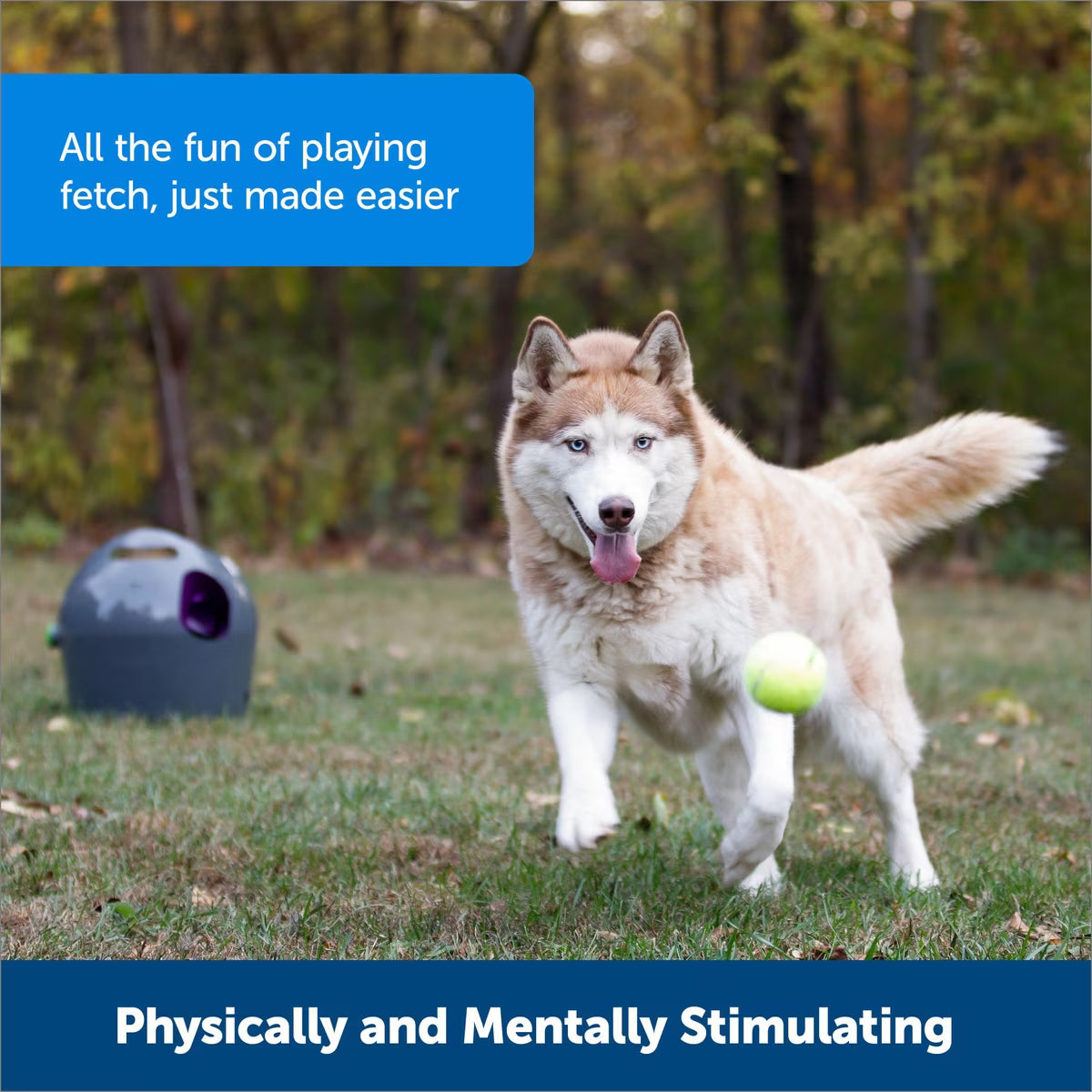 PetSafe Automatic Ball Launcher Dog Toy