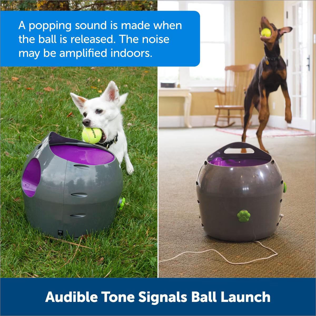 PetSafe Automatic Ball Launcher Dog Toy