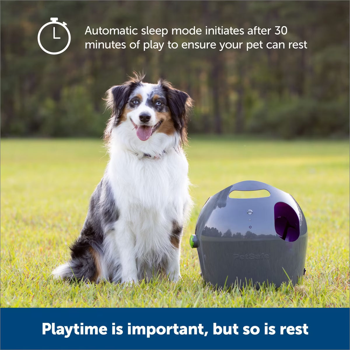 PetSafe Automatic Ball Launcher Dog Toy