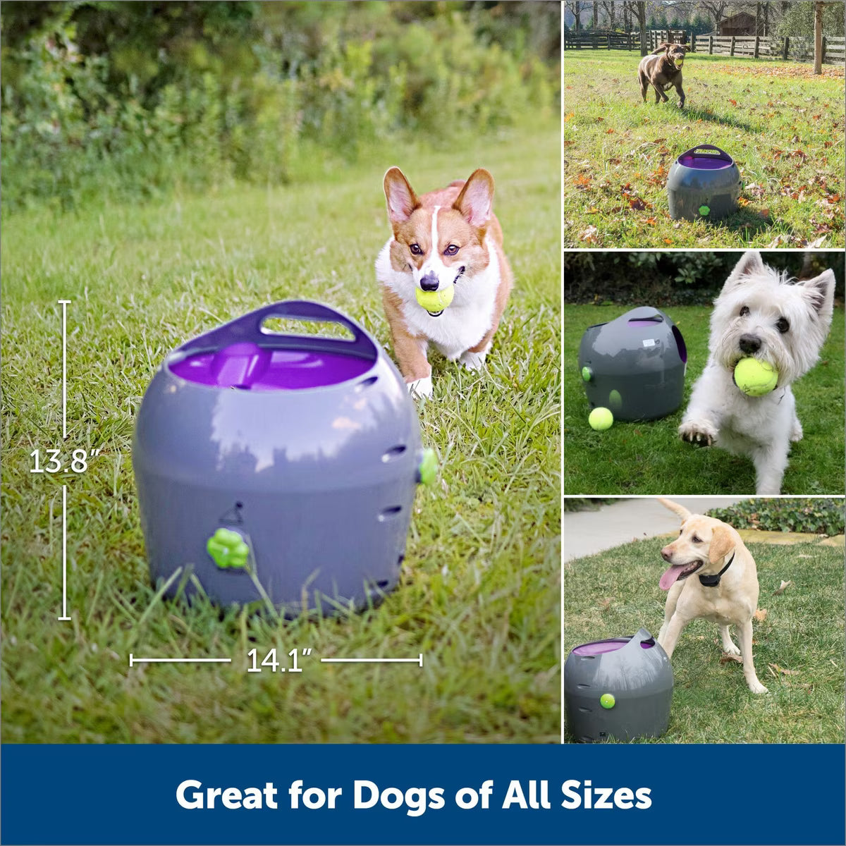 PetSafe Automatic Ball Launcher Dog Toy