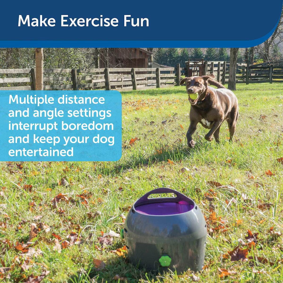 PetSafe Automatic Ball Launcher Dog Toy